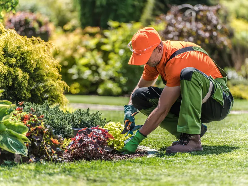 Gärtner bepflanzt ein Blumenbeet im Garten
