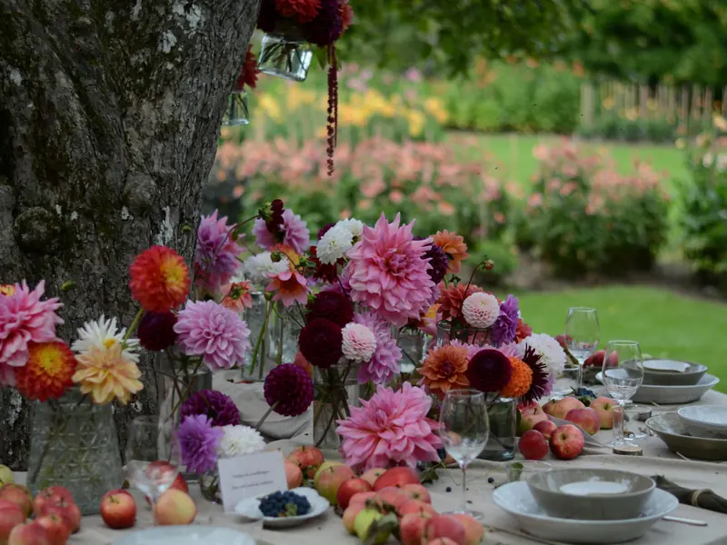 Gedeckte Gartentafel mit Dahlien und Obst unter einem Baum